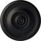 Ekena Millwork Raynor Ceiling Medallion (Fits Canopies up to 6"), Hand-Painted Steel Gray, 20 5/8"OD x 1 3/8"P CM20BESGS - alternate 1
